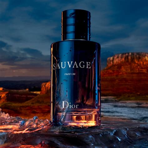 dior sauvage inno|dior sauvage perfume.